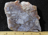 Durango Blue Agate Slab 393