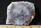 Durango Blue Agate Slab 435