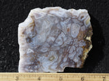 Durango Blue Agate Slab 443