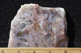 Durango Blue Agate Slab 436
