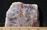 Durango Blue Agate Slab 436