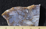 Durango Blue Agate Slab 445