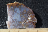 Durango Blue Agate Slab 427