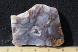 Durango Blue Agate Slab 442