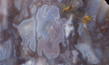 Durango Blue Agate Slab 442