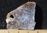 Durango Blue Agate Slab 423