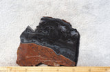 Curiosity Shop Rock Slab 411