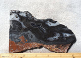 Curiosity Shop Rock Slab 491