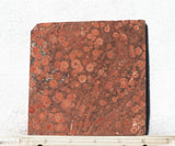 Curiosity Shop Rock Slab 485