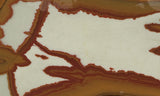 Owyhee Jasper Rock Slab 396