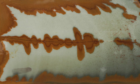 Owyhee Jasper Rock Slab 390