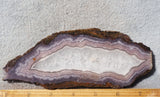 Curiosity Shop Rock Slab 473