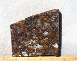 Curiosity Shop Rock Slab 493