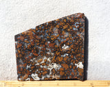Curiosity Shop Rock Slab 493