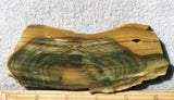 Curiosity Shop Rock Slab 418