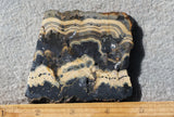 Curiosity Shop Rock Slab 478