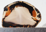 Montana Agate Rock Slab 198
