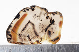 Montana Agate Rock Slab 351