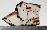 Montana Agate Rock Slab 191