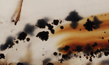 Montana Agate Rock Slab 191