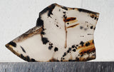 Montana Agate Rock Slab 191
