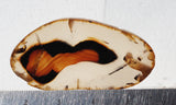 Montana Agate Rock Slab 168