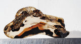 Montana Agate Rock Slab 357