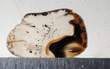 Montana Agate Rock Slab 358