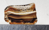 Montana Agate Rock Slab 352