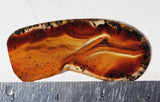 Montana Agate Rock Slab 304