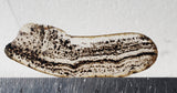 Montana Agate Rock Slab 156