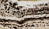Montana Agate Rock Slab 156