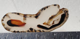 Montana Agate Rock Slab 316