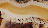 Montana Agate Rock Slab 305