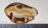 Montana Agate Rock Slab 305