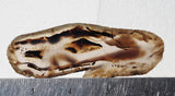 Montana Agate Rock Slab 363