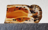 Montana Agate Rock Slab 311