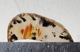 Montana Agate Rock Slab 300
