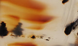 Montana Agate Rock Slab 300