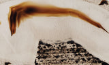 Montana Agate Rock Slab 171