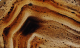 Montana Agate Rock Slab 267