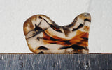 Montana Agate Rock Slab 309