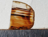 Montana Agate Rock Slab 177