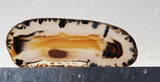 Montana Agate Rock Slab 333