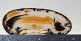 Montana Agate Rock Slab 298