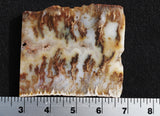 Graveyard Point Plume Agate Rock Slab 0404