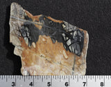 Picasso Stone Slab 22