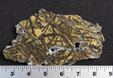 Yellow Feather Jasper Rock Slab 19