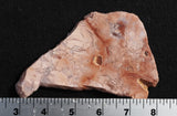 Cotton Candy Rock Slab 177