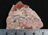 Cotton Candy Rock Slab 189